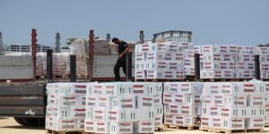 وزارة الخارجية: قافلتا المساعدات الأردنية المتجهة لغزة استمرتا بمهمتهما رغم الاعتداء الإسرائيلي - نايل 360