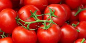 فوائد الطماطم، لصحة القلب وجمال بشرتك - نايل 360